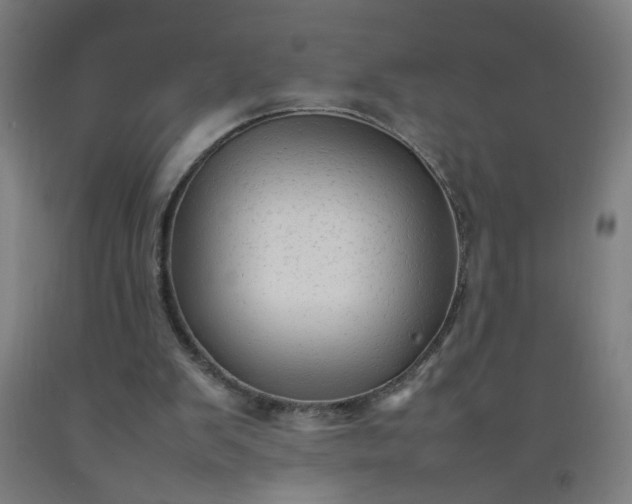 X0000092210103200709281031