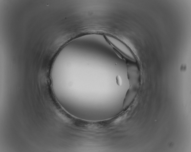 X0000092210105200709281031