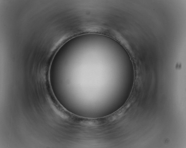 X0000092210106200709281031