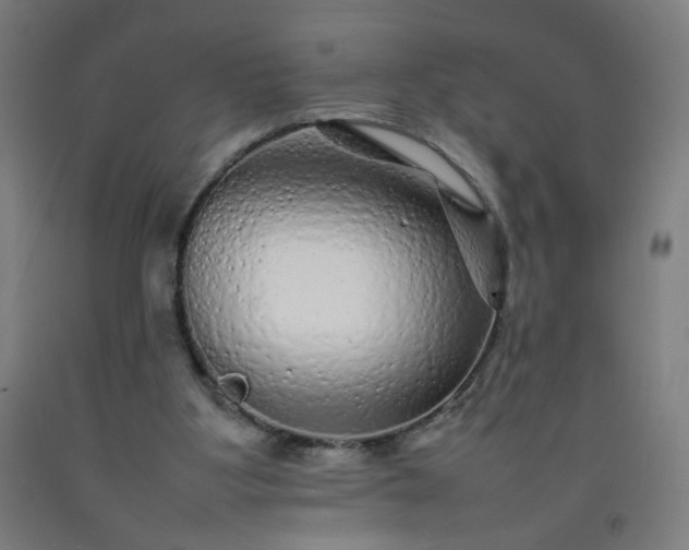 X0000092210107200709281031