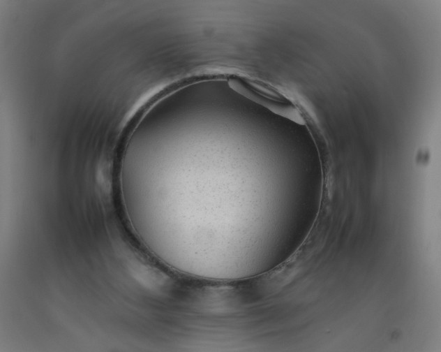 X0000092210108200709281031