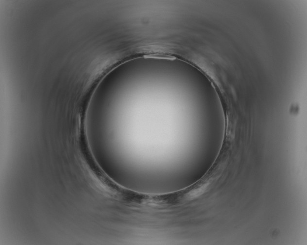 X0000092210109200709281031