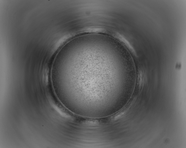 X0000092210110200709281031