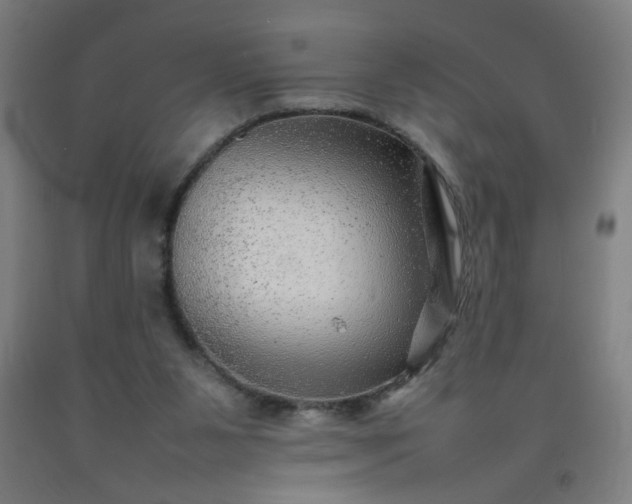 X0000092210111200709281031