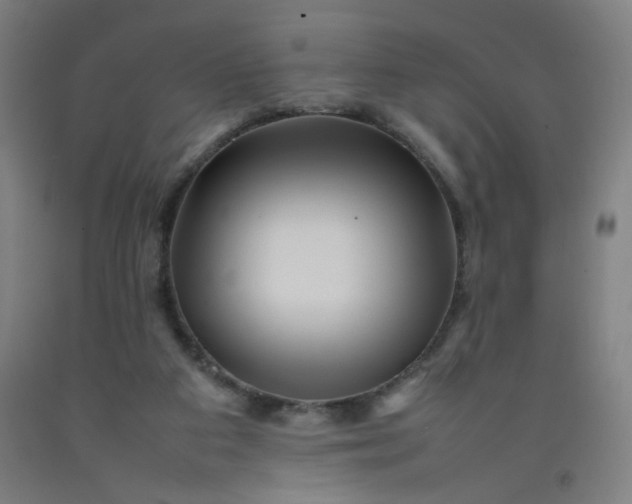 X0000092210113200709281031