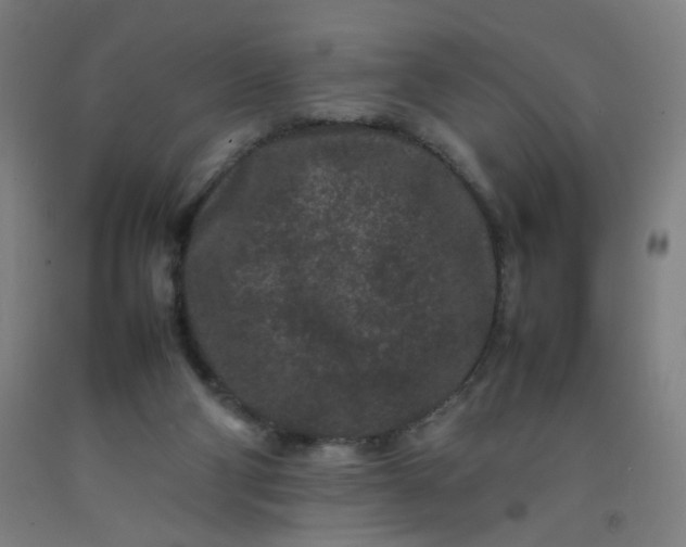 X0000092210114200709281031