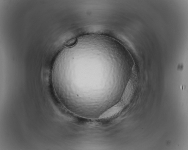 X0000092210115200709281031