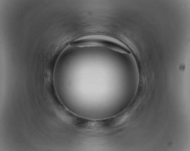 X0000092210117200709281031