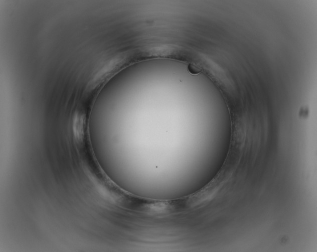 X0000092210118200709281031