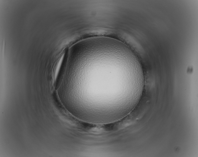 X0000092210119200709281031