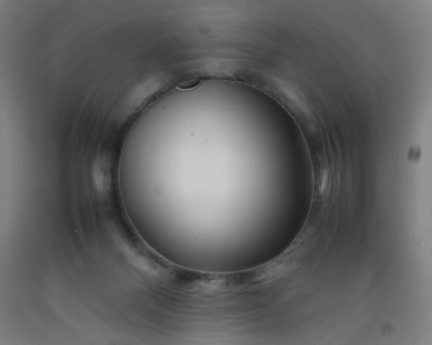 X0000092210120200709281031