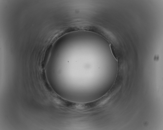 X0000092210121200709281031