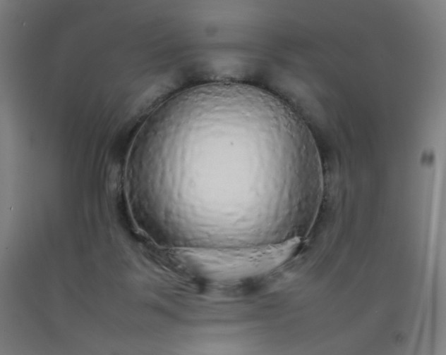 X0000092210123200709281031