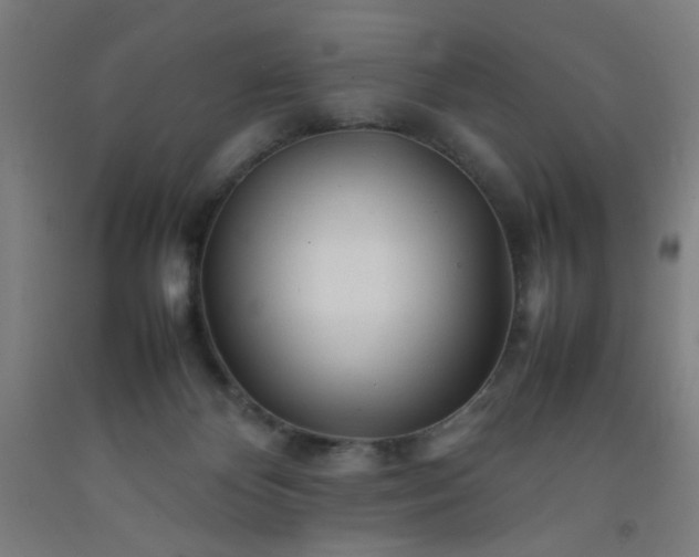 X0000092210124200709281031