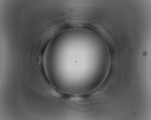 X0000092210125200709281031