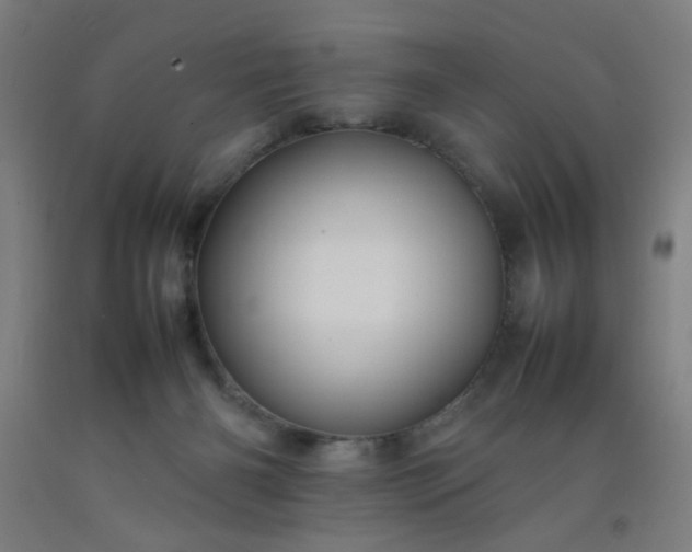 X0000092210126200709281031