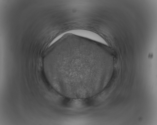 X0000092210127200709281031