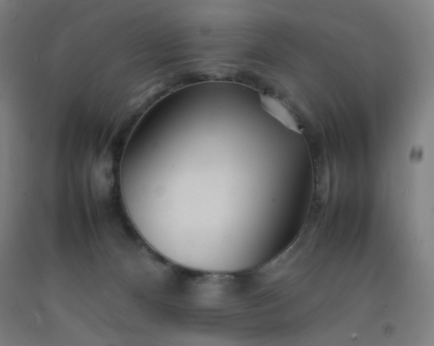 X0000092210128200709281031