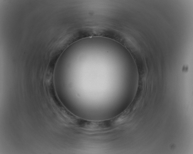 X0000092210129200709281031