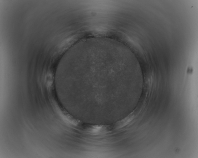 X0000092210130200709281031