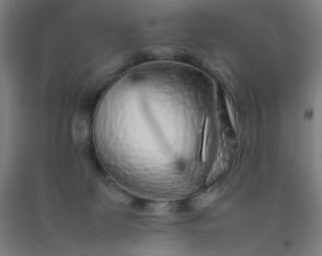 X0000092210131200709281031