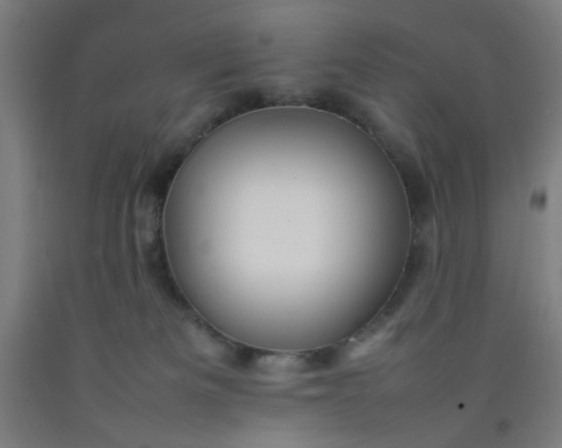 X0000092210133200709281031