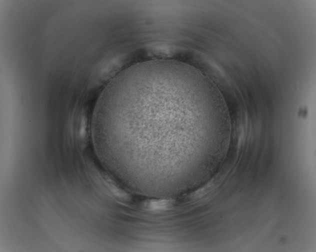 X0000092210134200709281031