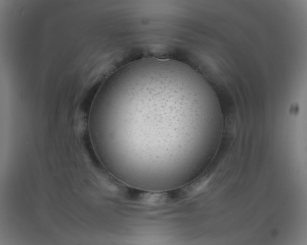 X0000092210135200709281031