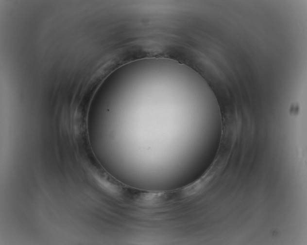 X0000092210136200709281031