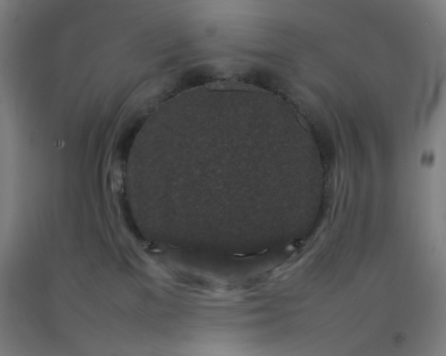 X0000092210137200709281031