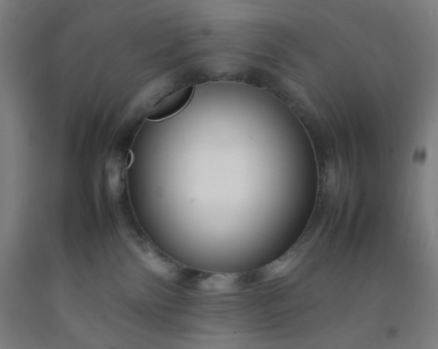 X0000092210138200709281031