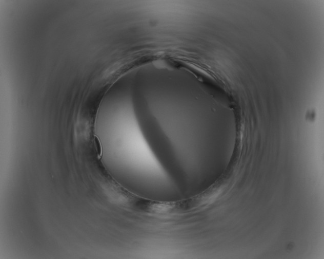 X0000092210139200709281031