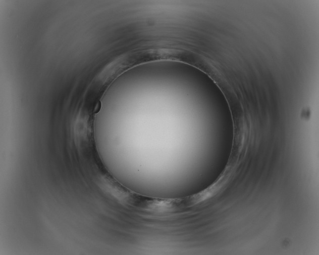 X0000092210140200709281031