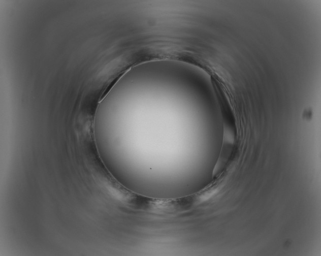 X0000092210141200709281031