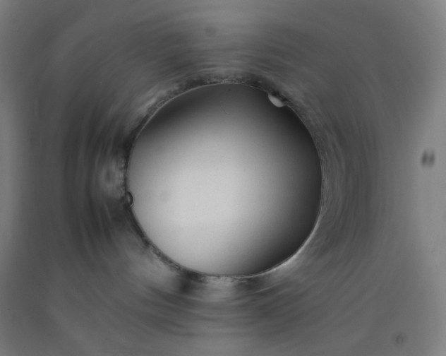 X0000092210144200709281031