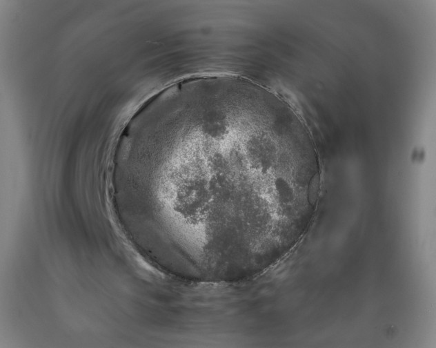 X0000092210145200709281030