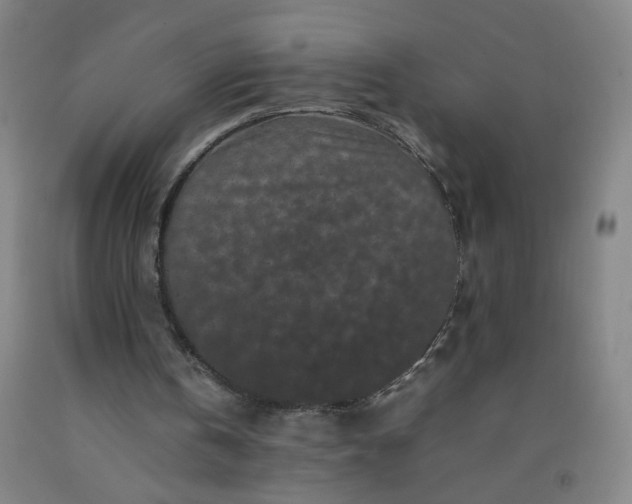 X0000092210146200709281030