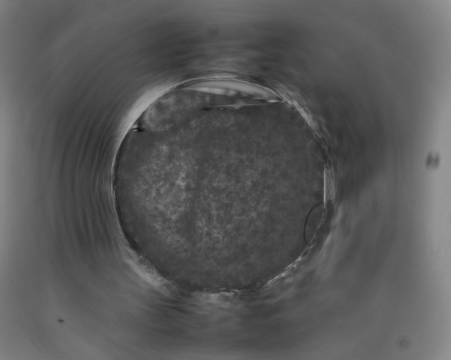 X0000092210147200709281030