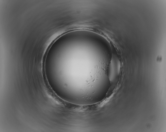 X0000092210148200709281030