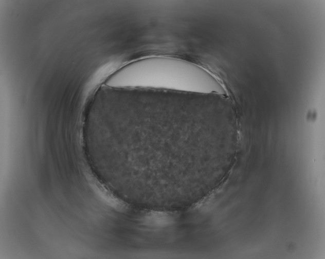 X0000092210149200709281030