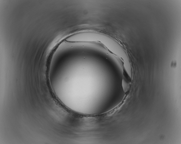 X0000092210150200709281030