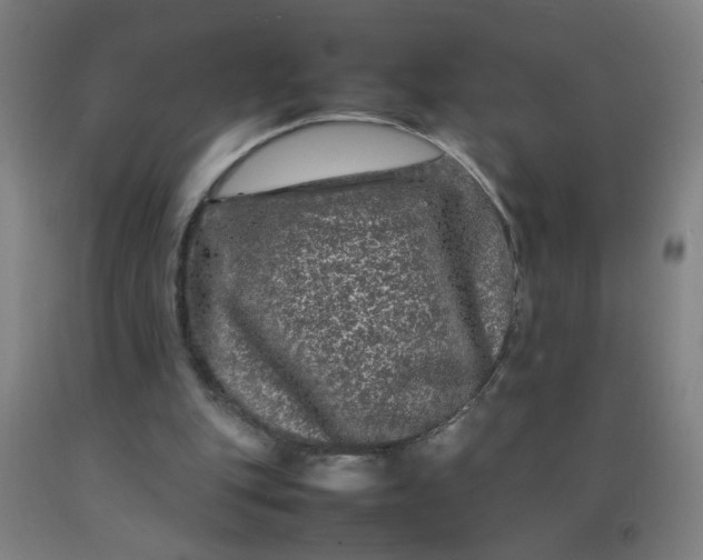 X0000092210151200709281030