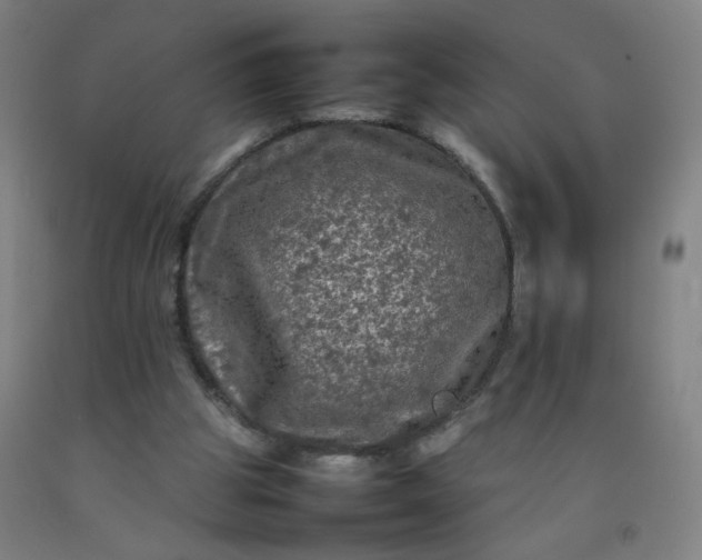 X0000092210153200709281030