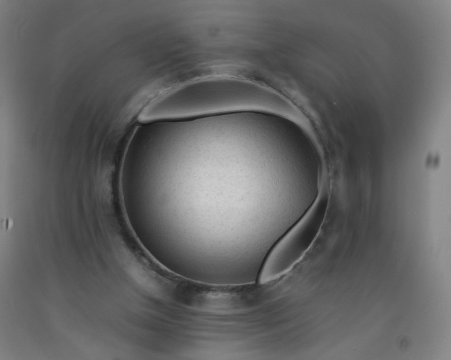 X0000092210154200709281030