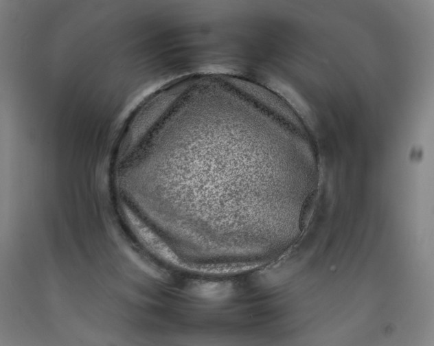 X0000092210155200709281030