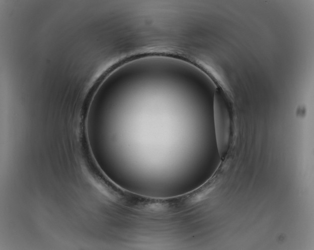 X0000092210156200709281030