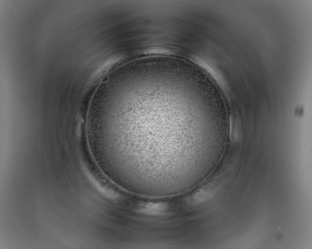 X0000092210157200709281030