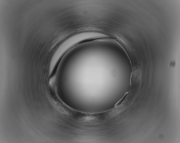 X0000092210158200709281030