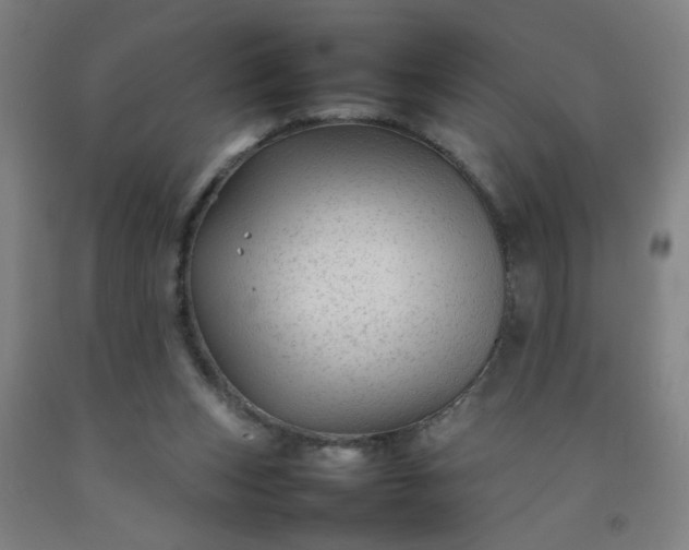 X0000092210159200709281030