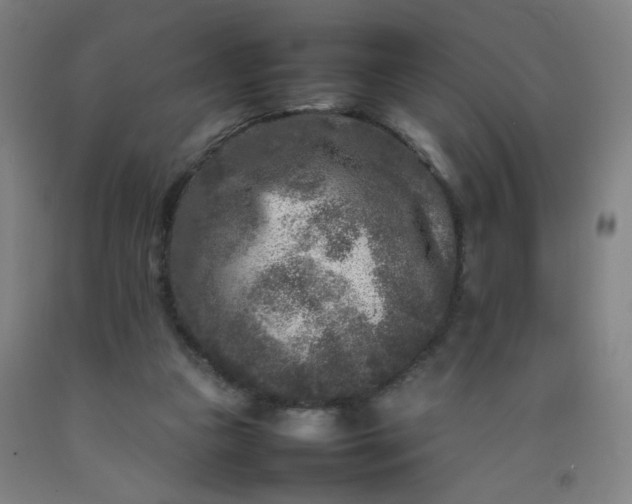 X0000092210161200709281030